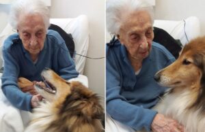 El estudio de salud intestinal de la persona más antigua del mundo revela la clave de estilo de vida para la longevidad