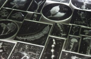 Rui Sasaki encierra flores espectrales en conjuntos de vidrio íntimo – Colosal