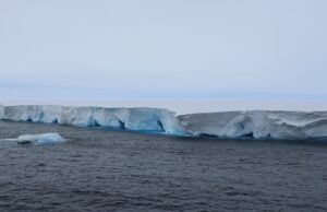 El iceberg más grande del mundo encallan en Georgia del Sur y bloquea el terreno de alimentación de pingüinos clave | Noticias de ciencia, clima y tecnología