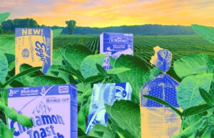 De donde proviene su comida estable