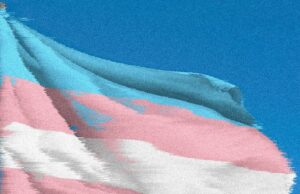 Los investigadores se apresuran a salvar los datos del gobierno de los Estados Unidos sobre los jóvenes trans, antes de que desaparezca