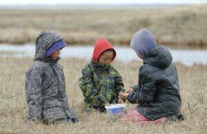 Únete a las aves marinas mientras migran, encontrando comunidades humanas en el camino