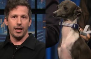 Andy Samberg realmente odia al ex perro coprotagonista de SNL Seth Meyers. Como realmente: “Se rascó la cara como un asesino en serie y lo envió por correo”.