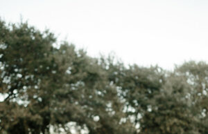 Sombras imprescindibles para el año