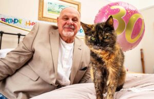 El hombre que afirma tener el gato más antiguo del mundo revela los secretos de longevidad de las mascotas
