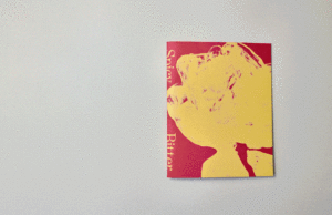 Sweet Bitter Studies The Radicchio en un collage en desarrollo de sus formas