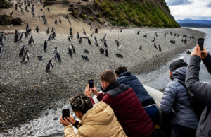 En Argentina, un auge en los cruceros antárticos está esforzando el “fin del mundo”