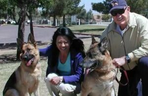 ¿Dónde están los perros de Gene Hackman ahora a medida que emerge el desgarrador acto final?