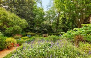 10 errores de jardinería que hacen que su paisaje se vea desordenado