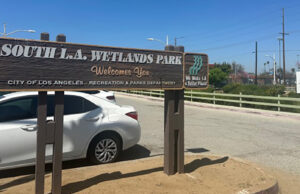 Los espacios verdes en el sur de Los Ángeles promueven un estilo de vida de la salud entre la naturaleza