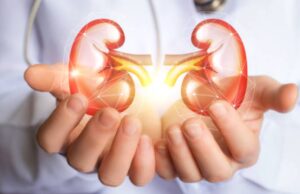 El trasplante de riñón de cerdo más largo del mundo en humano falla después de 4 meses |