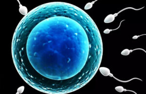 La primera carrera de esperma del mundo en Los Ángeles lleva la fertilidad masculina al centro de atención pública |