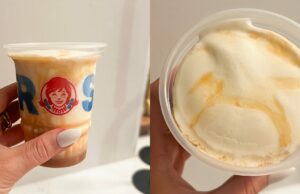 Probé los nuevos sabores helados de Wendy para ver si pasan la prueba de frito