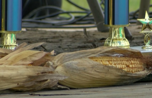 St. George marca el festival 40º año del mundo de Grits