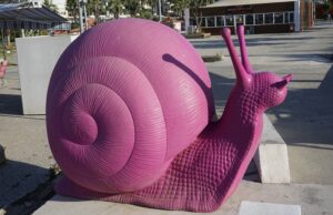 Viaje de un caracol: abrazar el estilo de vida sostenible en Cittaslow
