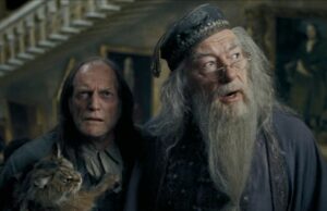 No soy fanático de una gran elección de programa de televisión de Harry Potter (no es Snape)