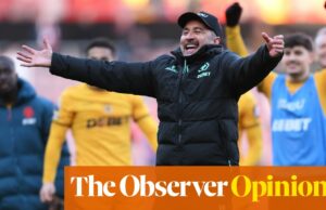 Pereira florece en los lobos hasta que el ciclo de boom-fust se repite | Wolverhampton Wanderers