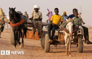 Sudán acusa a los EAU de 'complicidad en el genocidio' en ICJ