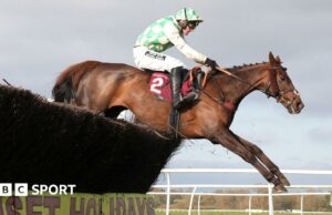 Celebre d'Allen: Grand National Runner muere después del colapso en Aintree