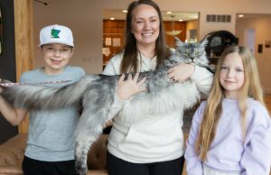 Minnesota Cat rompe el récord mundial de Guinness para la longitud de la cola