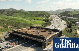 'Incluso una autopista es canjable': el cruce de vida silvestre más grande del mundo toma forma en Los Ángeles | Los Ángeles