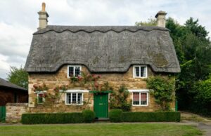 Que tengas un acogedor fin de semana. | Taza de Jo