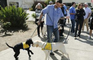 Lágrimas y la cola Wags: los reclusos se reúnen con los perros de servicio que criaron