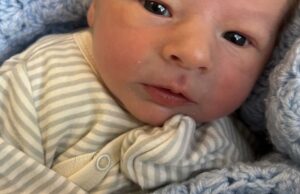 Anuncio de nacimiento: Zappa