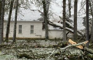 La resurrección de la escuela histórica de Mark Prairie está completa
