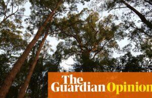 Cuando la tristeza me recuerdo, no estoy solo en amar la belleza salvaje ilimitada del mundo vivo | Georgina Woods