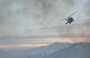 Los incendios forestales de California amenazan los árboles más antiguos del mundo