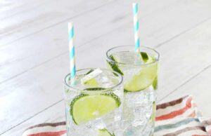 Gin rickey – un hermoso desastre