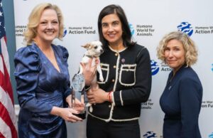 Reuniéndose a través de líneas políticas para animales