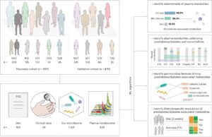 Los microbios intestinales y los metabolitos revelan cómo los cambios en el estilo de vida ayudan a prevenir la diabetes tipo 2