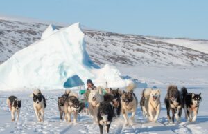 El nativo de Buffalo y el fotógrafo de 'Wags Around the World', John Fabiano, dejó tecnología para el trabajo de sus sueños