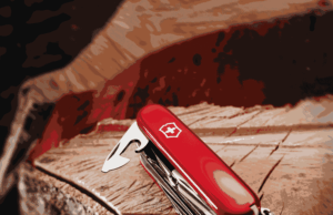 Usé mi navaja suiza todos los días la semana pasada. Esto es lo que pasó