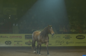 Campeón mundial Bucking Horse honrado en San Angelo Rodeo