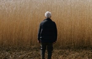 Los tableros de ventas de películas de fiesta de Cannes Critics 'Week Título' Reedland '