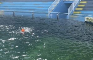 Licencia de la Ley de Bienestar Animal del Golfo Mundial para expirar