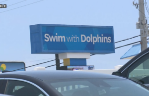 El comisionado del condado de Bay, Clair Pease, se dirige a las condiciones mundiales del Golfo