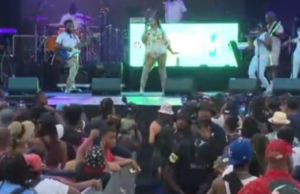 El entretenimiento del festival Afram de Baltimore se anunciará el martes