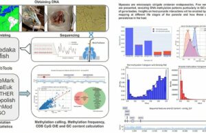 Los científicos abordan el costoso daño de los parásitos devastadores de peces de todo el mundo
