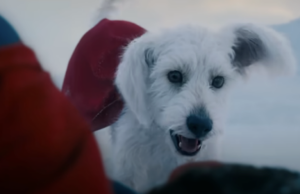 David Corenswet de Superman habla de que Krypto es “el peor perro del mundo con superpoderes”, y los comentarios me hacen amarlo más