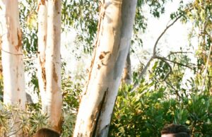 ¿Cansado de las aplicaciones de citas? Aquí le mostramos cómo salir