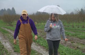 Este agricultor de tulipán de Skagit Valley es colorblind. Su 'director de color' juega un papel crucial