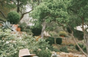 ¿Qué es la jardinería holística? Todo lo que necesitas saber