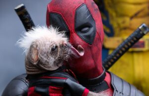 Ryan Reynolds se reunió con su coprotagonista de Dogpool para un nuevo proyecto publicitario, y los resultados son adorablemente “feos”