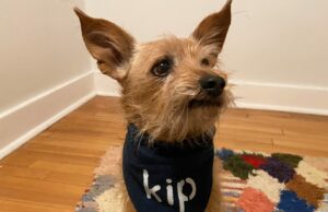 ¿Qué cosas no flashy amas?