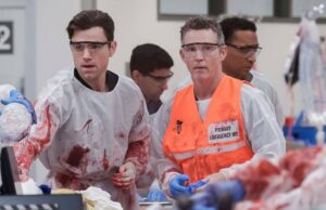 Cuáles son los personajes de Pitt, y no son, regresando para la temporada 2