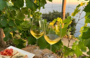 Vinos italianos bajo $ 30: 7 botellas decadentes